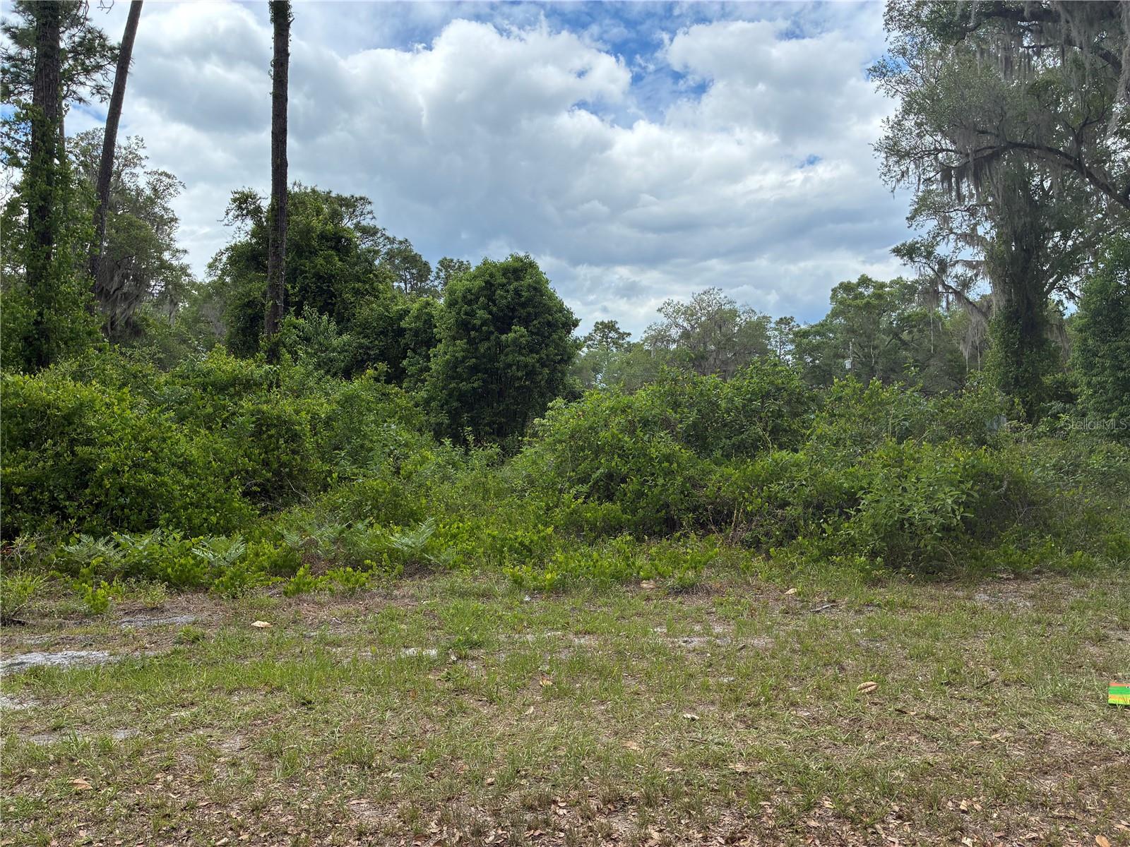 00 SE 87 ST, OCKLAWAHA, FL