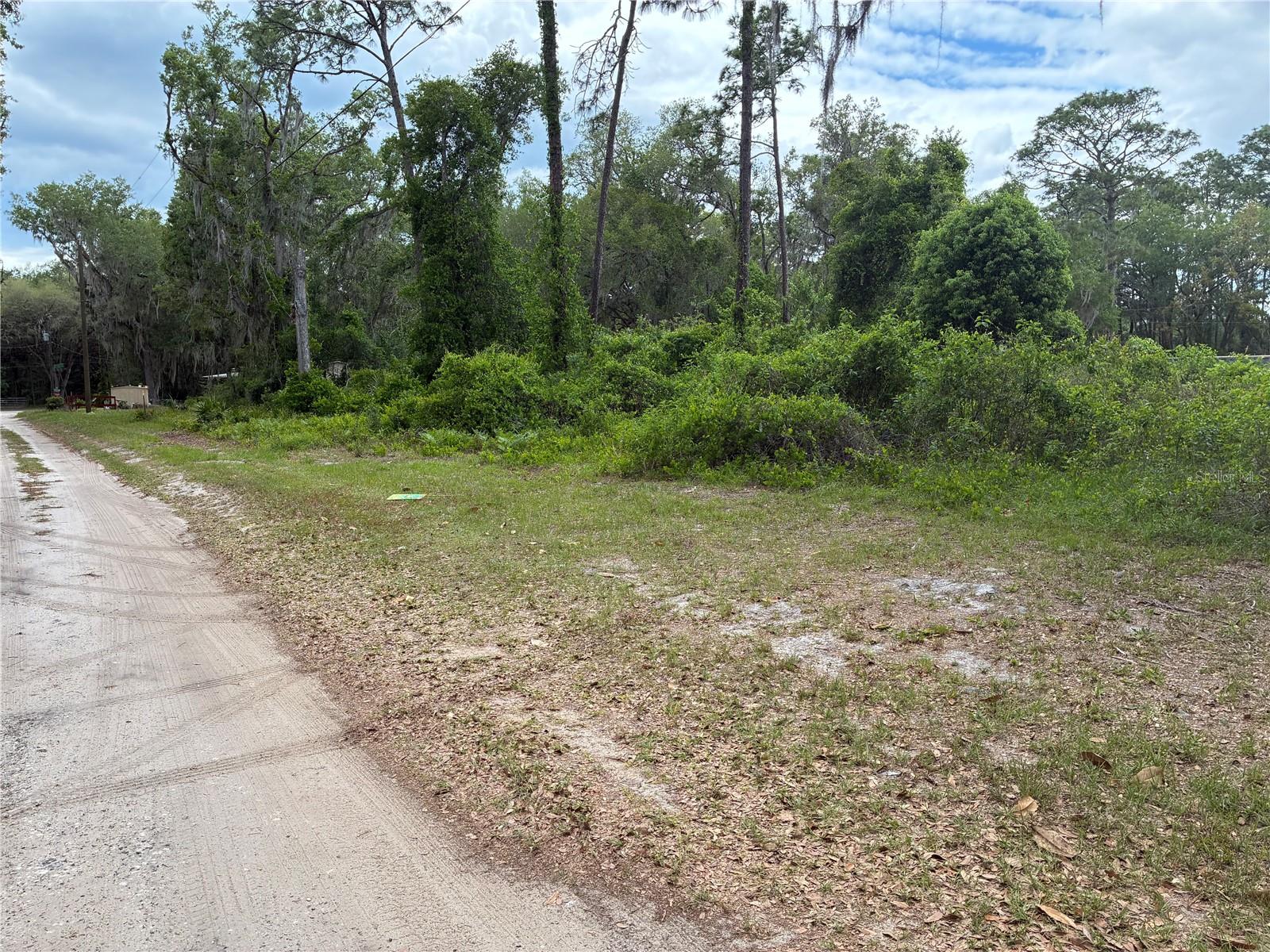 00 SE 87 ST, OCKLAWAHA, FL — photo 2