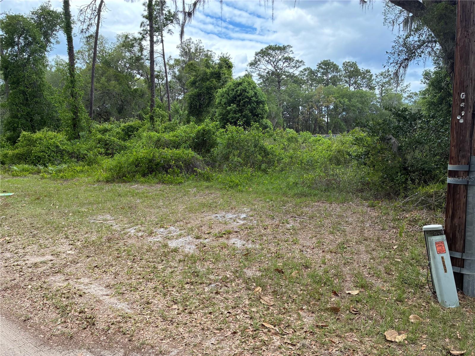 00 SE 87 ST, OCKLAWAHA, FL — photo 3