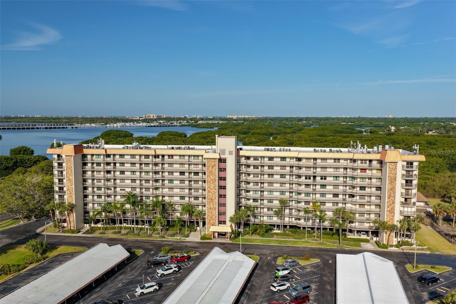 5400 PARK ST N #208, ST PETERSBURG, FL — photo 38
