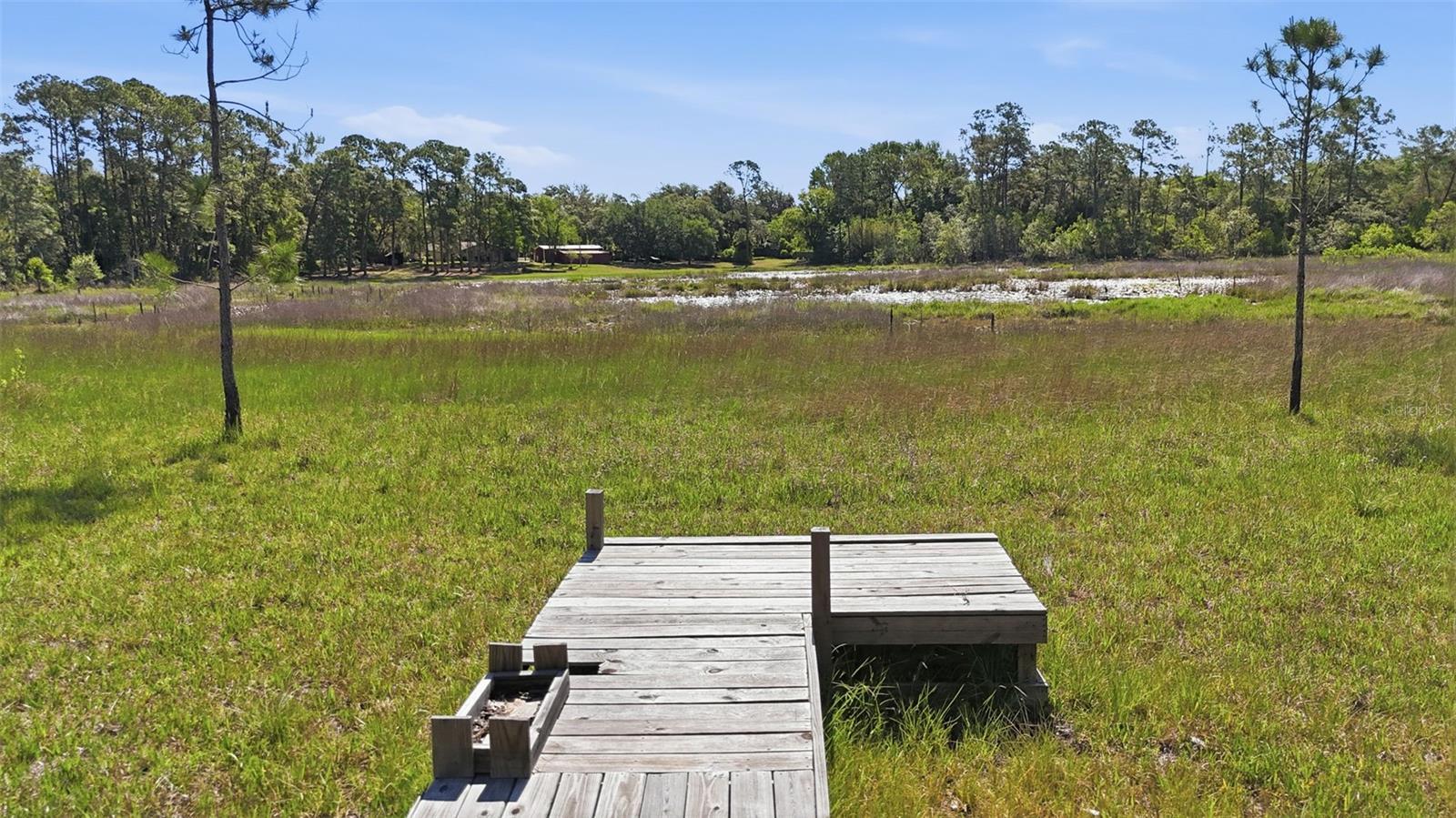 TBD HOLLY BRANCH RD, EUSTIS, FL — photo 5