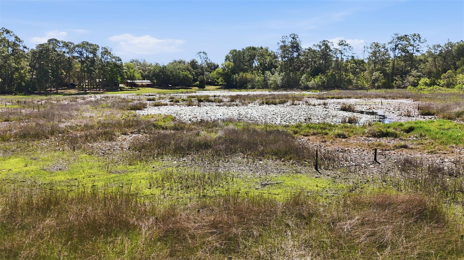 TBD HOLLY BRANCH RD, EUSTIS, FL — photo 7