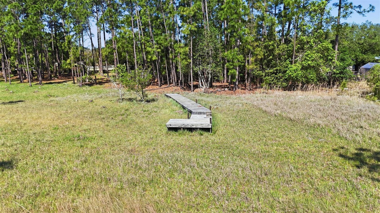 TBD HOLLY BRANCH RD, EUSTIS, FL — photo 10