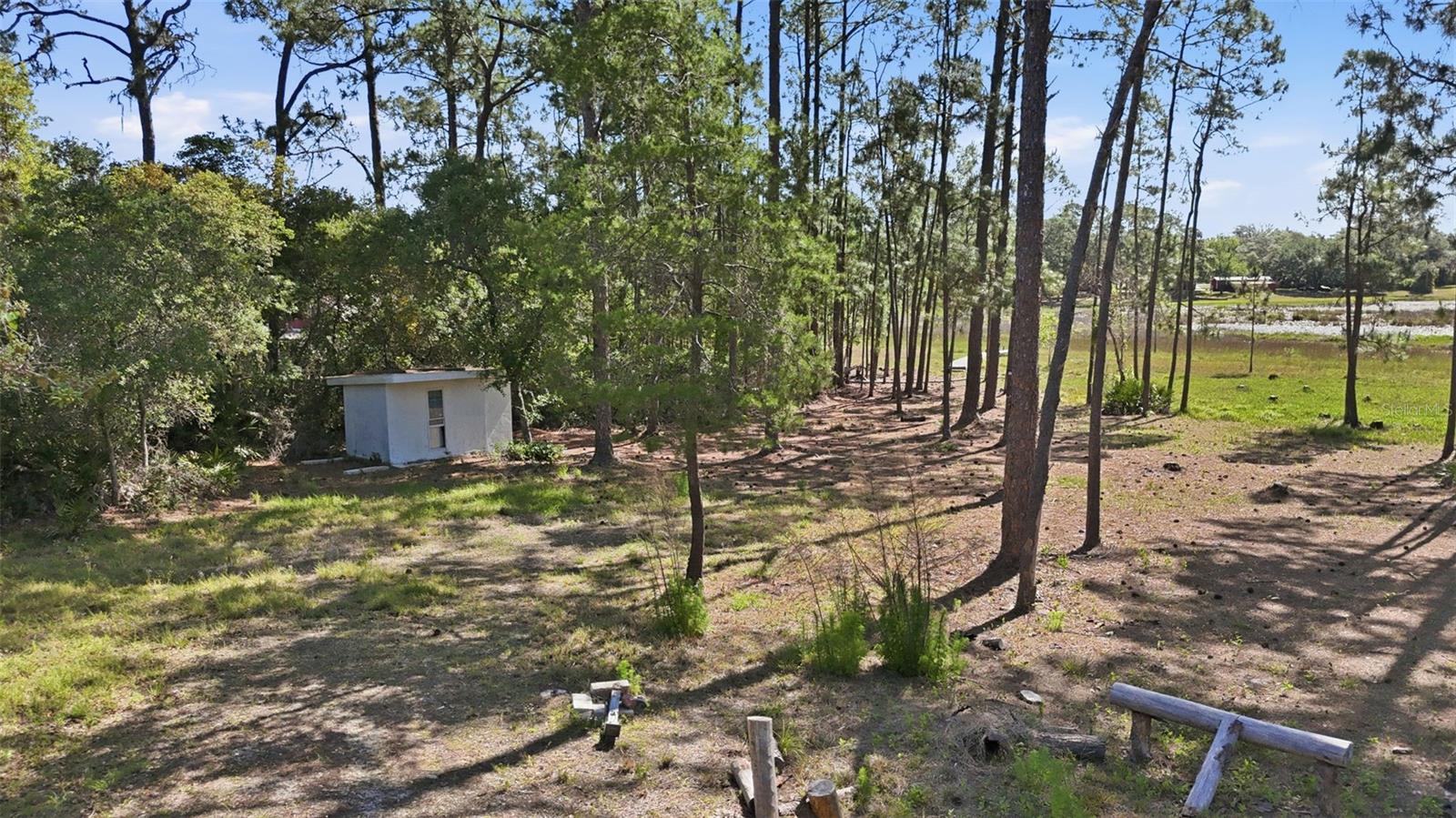 TBD HOLLY BRANCH RD, EUSTIS, FL — photo 12