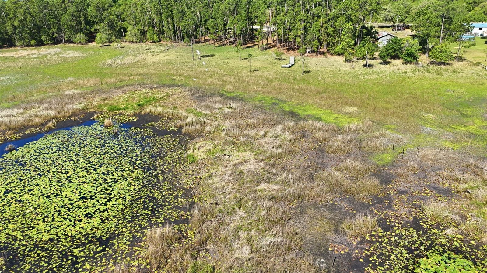 TBD HOLLY BRANCH RD, EUSTIS, FL — photo 13