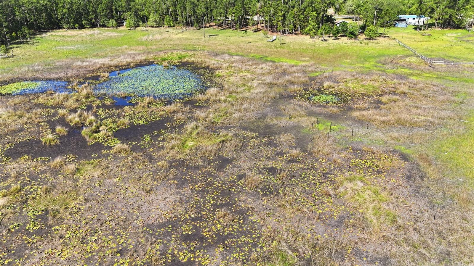 TBD HOLLY BRANCH RD, EUSTIS, FL — photo 17