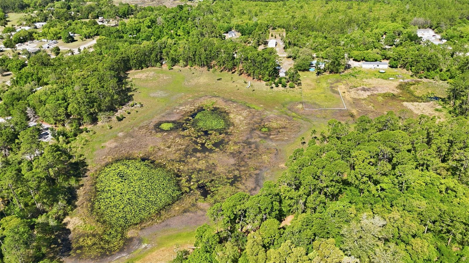 TBD HOLLY BRANCH RD, EUSTIS, FL — photo 20