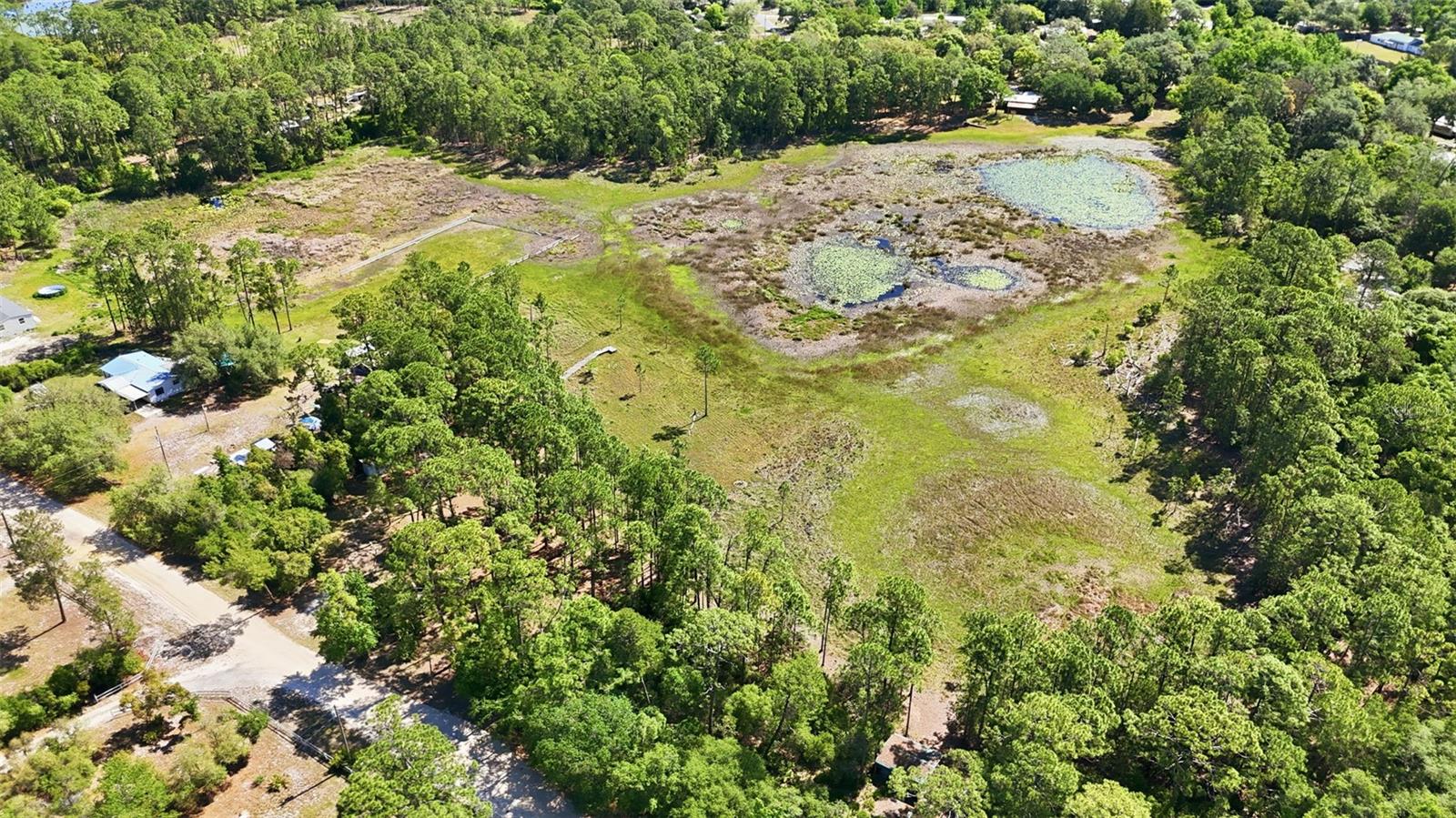 TBD HOLLY BRANCH RD, EUSTIS, FL — photo 22