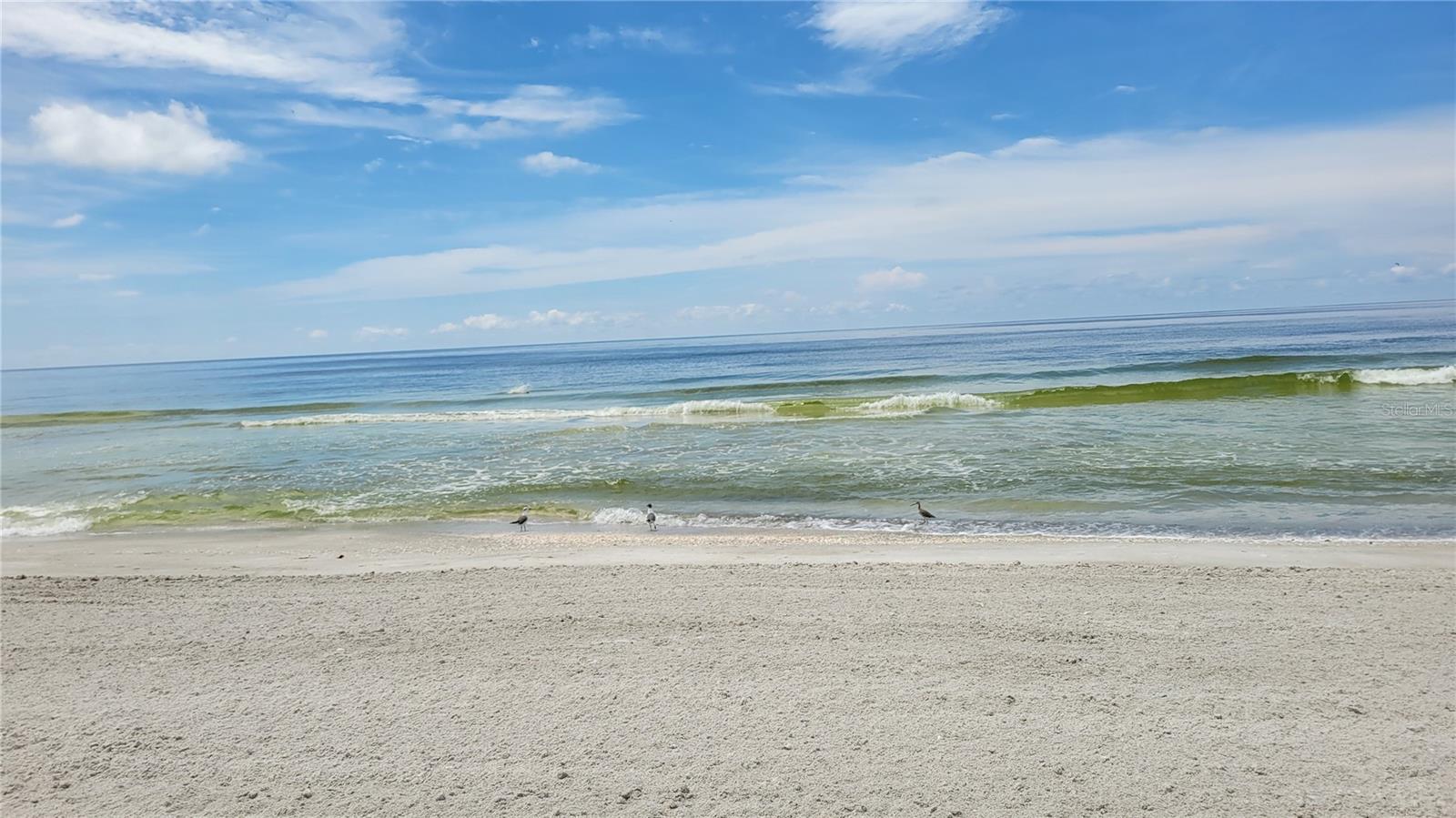 1000 LONGBOAT CLUB RD #406, LONGBOAT KEY, FL — photo 27