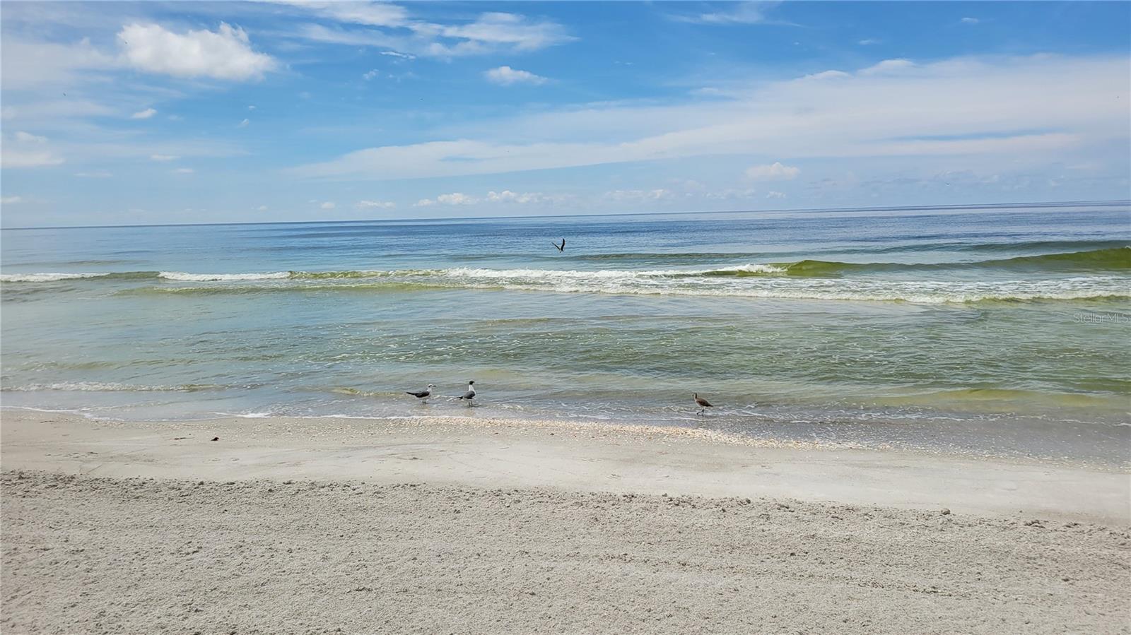 1000 LONGBOAT CLUB RD #406, LONGBOAT KEY, FL — photo 28