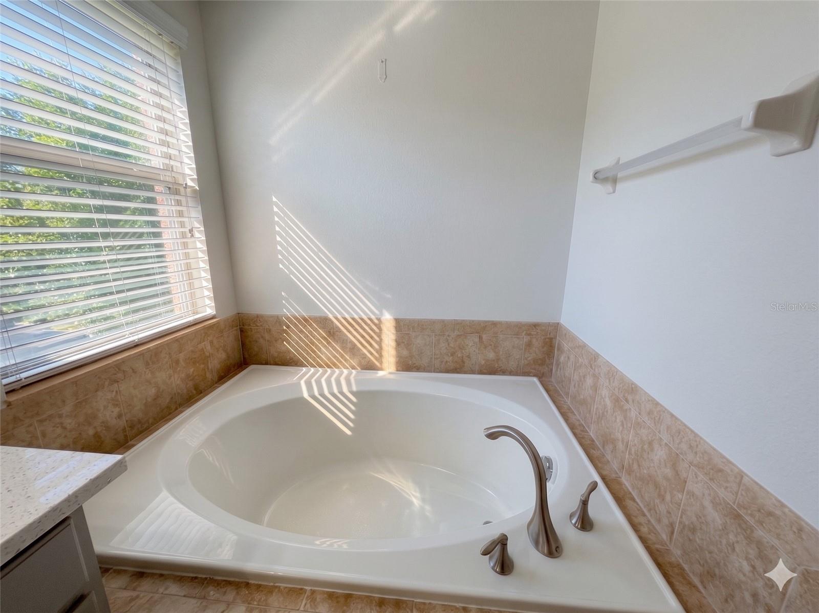 2997 BUCCANEER PALM RD, KISSIMMEE, FL — photo 24