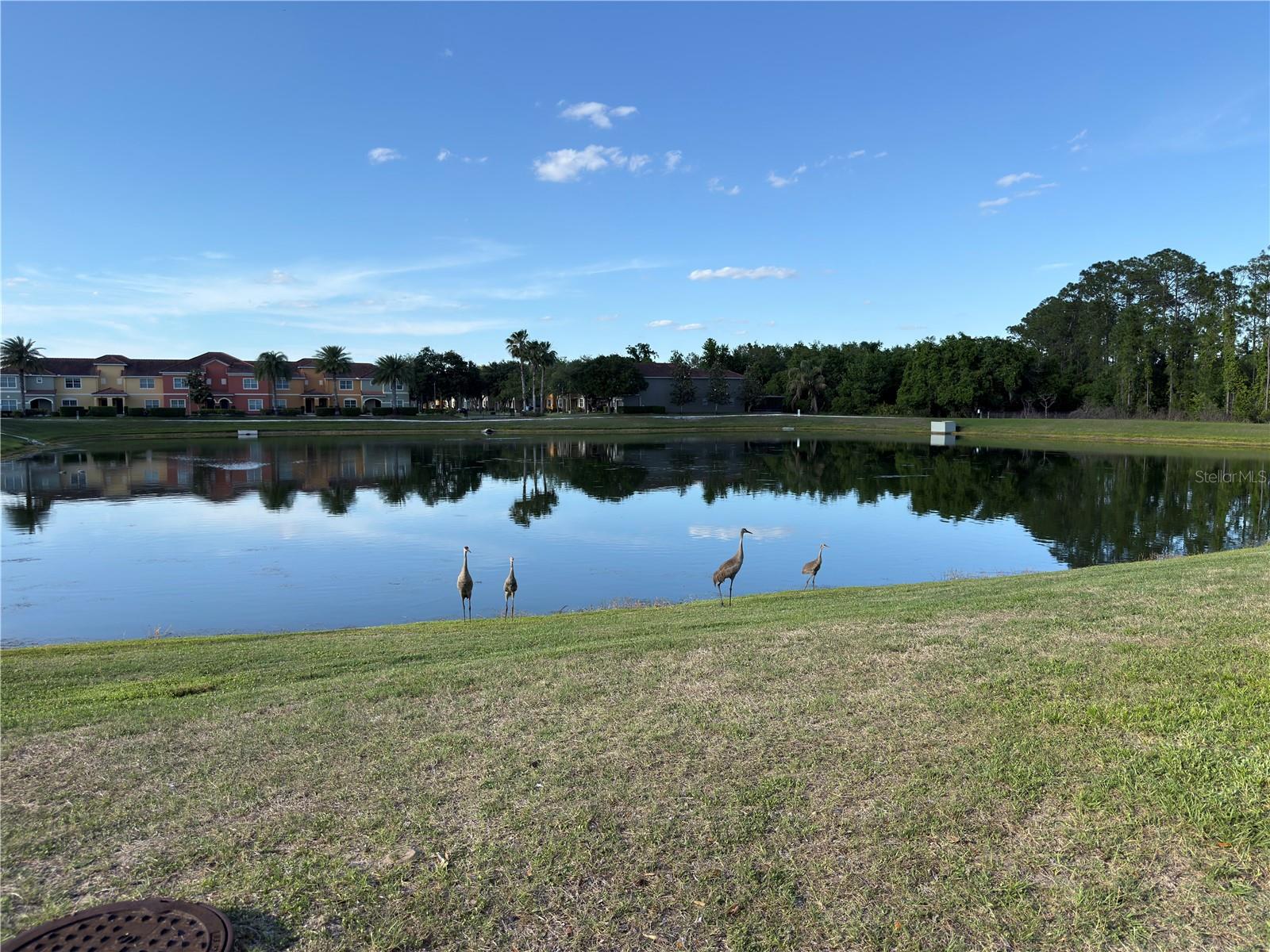 2997 BUCCANEER PALM RD, KISSIMMEE, FL — photo 46