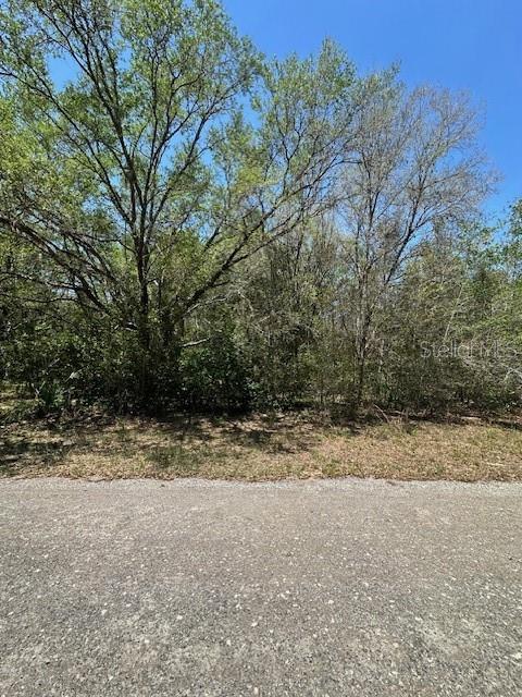 8681 N CATAPANE LOOP, CRYSTAL RIVER, FL — photo 2