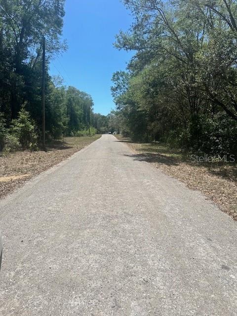8681 N CATAPANE LOOP, CRYSTAL RIVER, FL — photo 4
