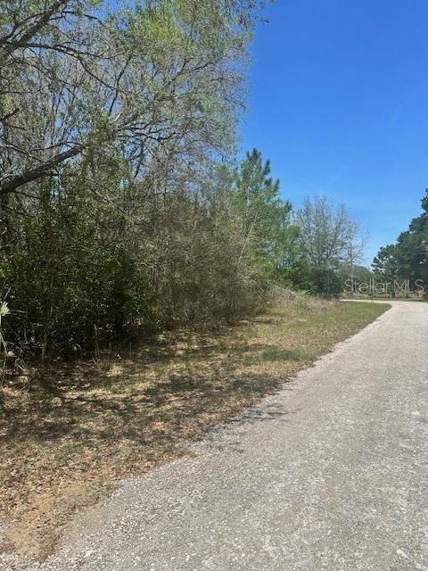 8681 N CATAPANE LOOP, CRYSTAL RIVER, FL — photo 5