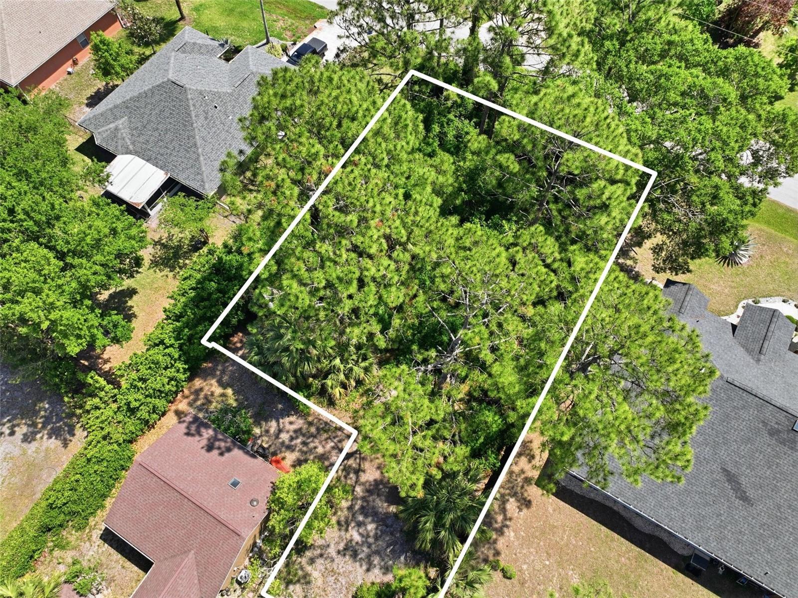 26 WOODBURY DR, PALM COAST, FL — photo 9