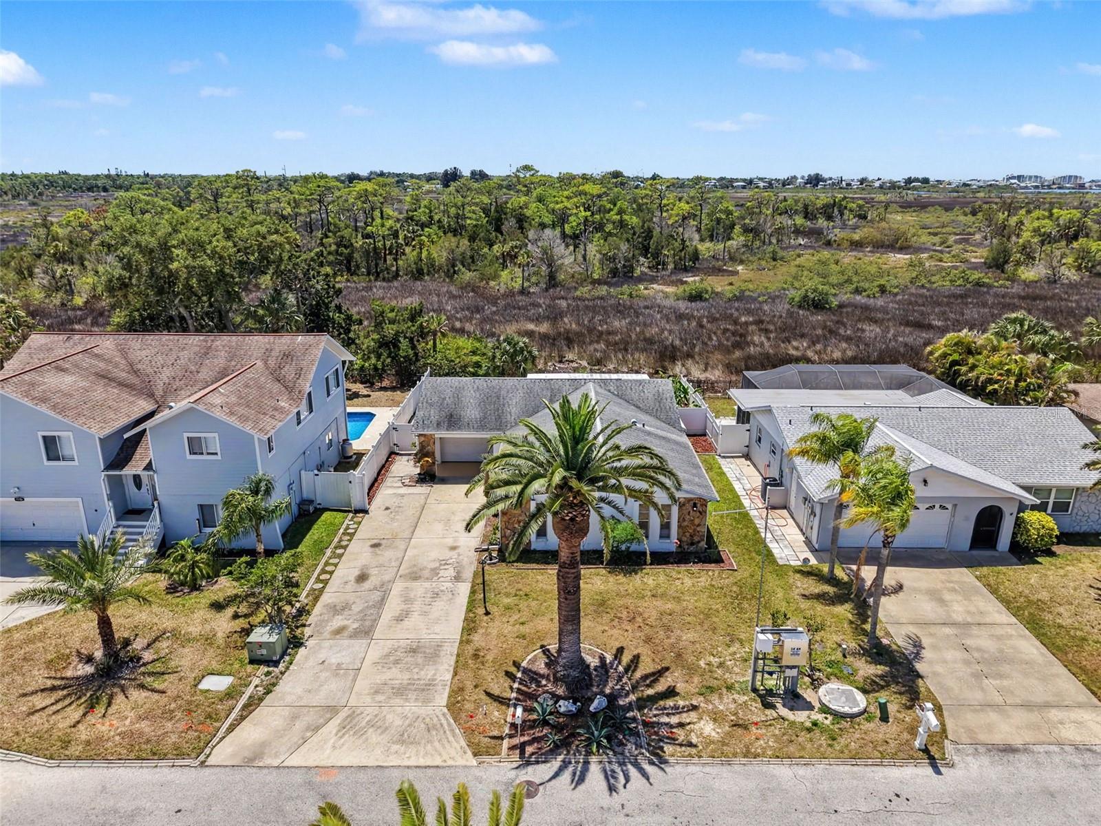 7038 SOUTHWIND DR, HUDSON, FL — photo 44