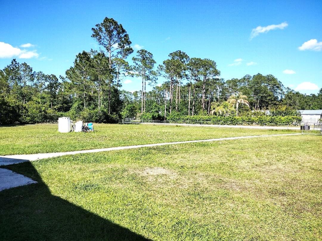 1558 CANDLEBERRY ST, BUNNELL, FL — photo 33