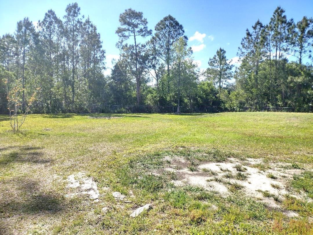 1558 CANDLEBERRY ST, BUNNELL, FL — photo 38