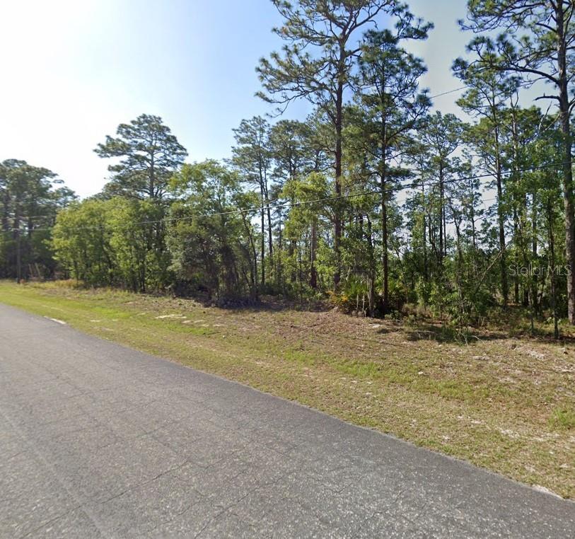425 W HOMEWAY LOOP, CITRUS SPRINGS, FL