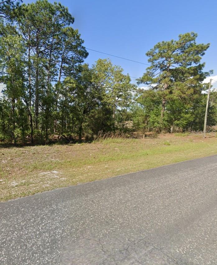 425 W HOMEWAY LOOP, CITRUS SPRINGS, FL — photo 2