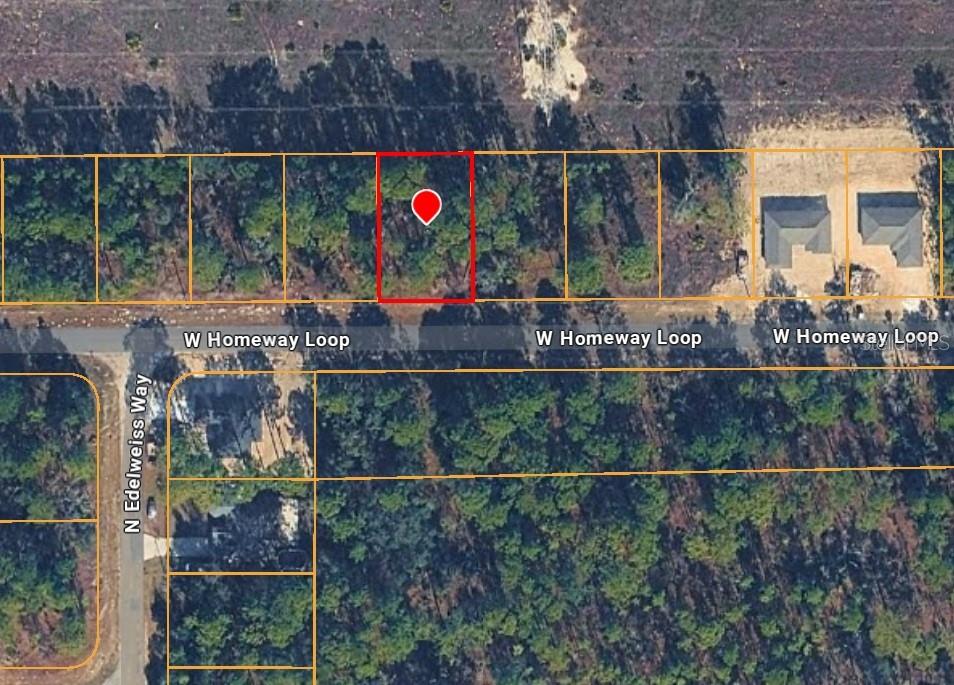 425 W HOMEWAY LOOP, CITRUS SPRINGS, FL — photo 3