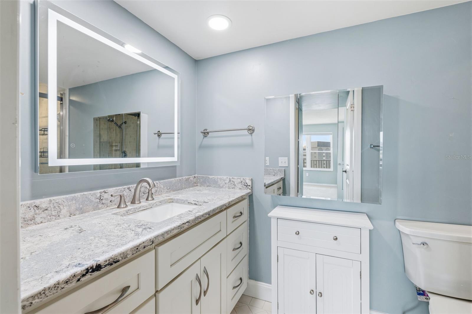 5220 BRITTANY DR S #901, ST PETERSBURG, FL — photo 20