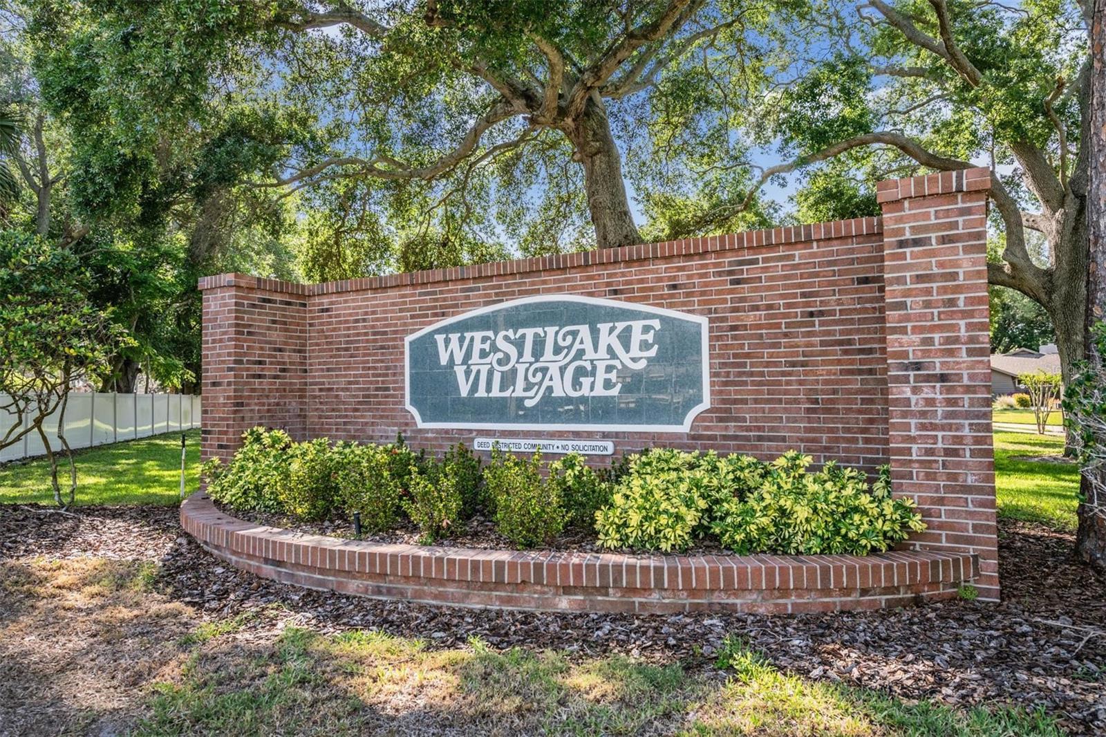 848 HILLSIDE DR, PALM HARBOR, FL — photo 44