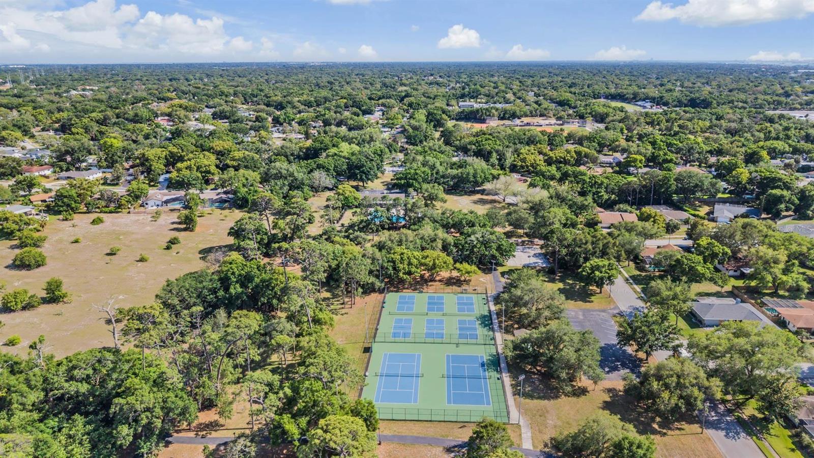 848 HILLSIDE DR, PALM HARBOR, FL — photo 49