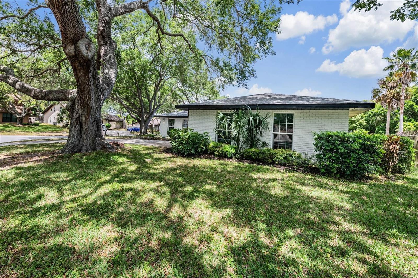 848 HILLSIDE DR, PALM HARBOR, FL — photo 51