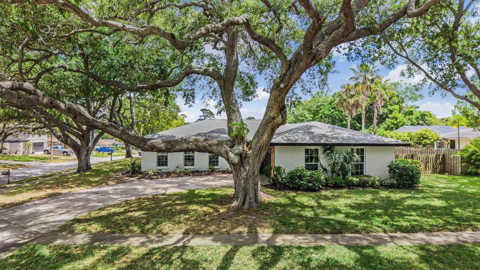 848 HILLSIDE DR, PALM HARBOR, FL — photo 54