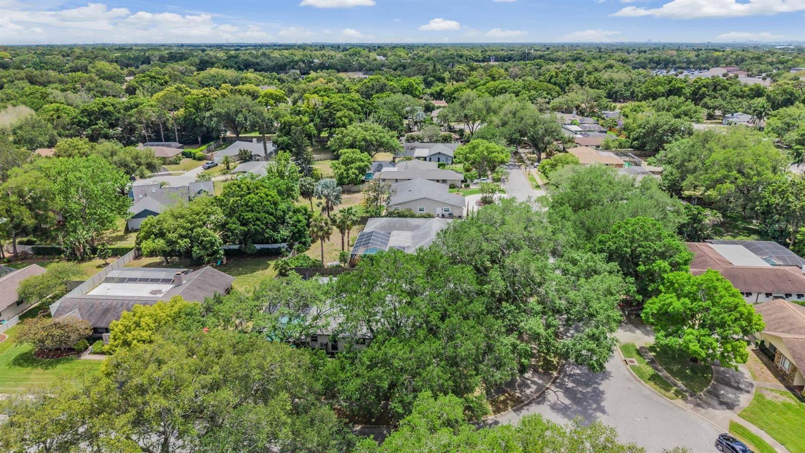 848 HILLSIDE DR, PALM HARBOR, FL — photo 56