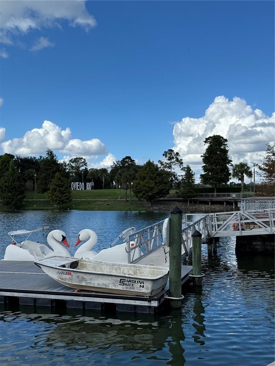 415 MIKE ROBERTO WAY, OVIEDO, FL — photo 11