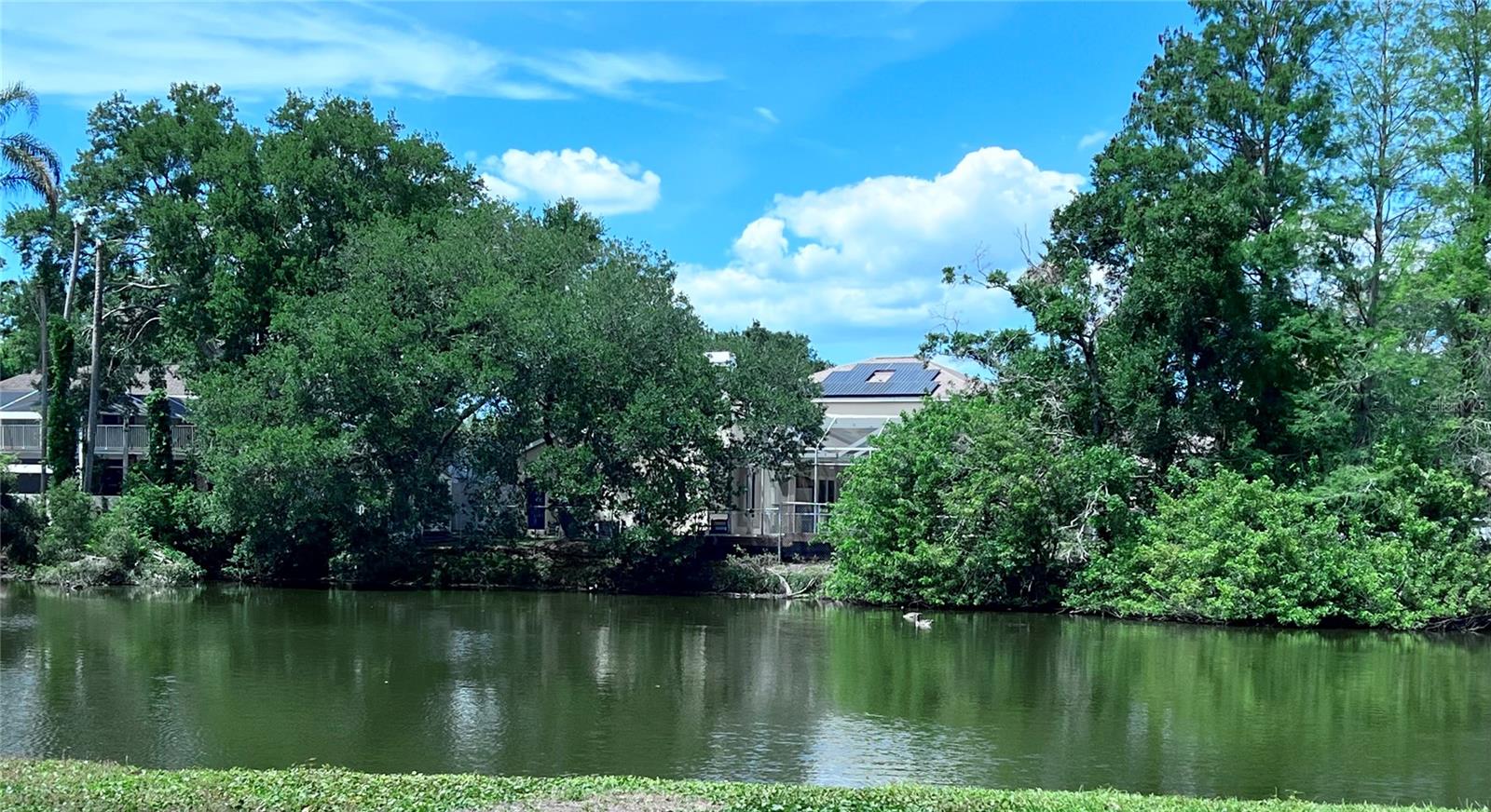 2219 ALICE LN, CLEARWATER, FL — photo 4