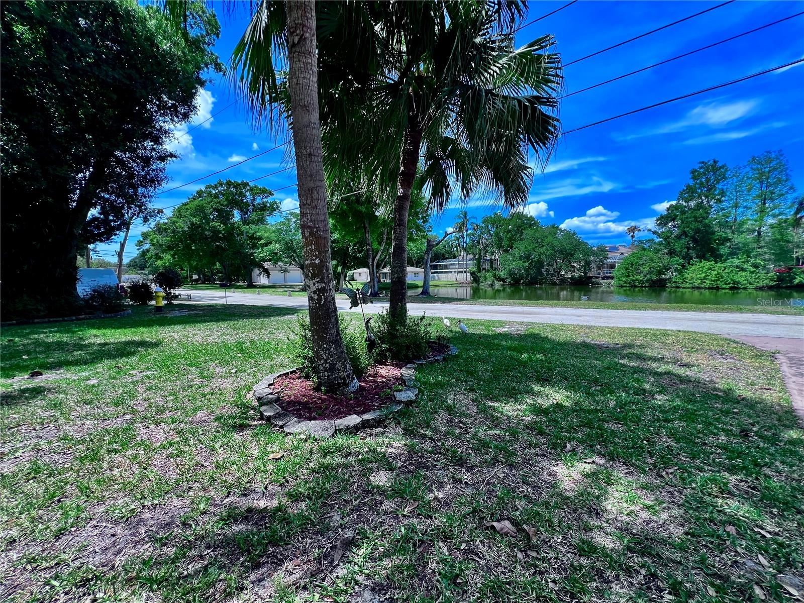 2219 ALICE LN, CLEARWATER, FL — photo 41