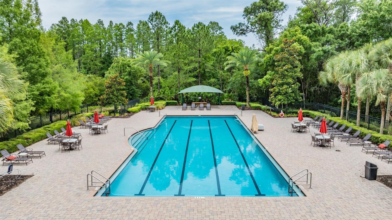 8721 CRYSTAL CREEK CT, LAND O LAKES, FL — photo 47