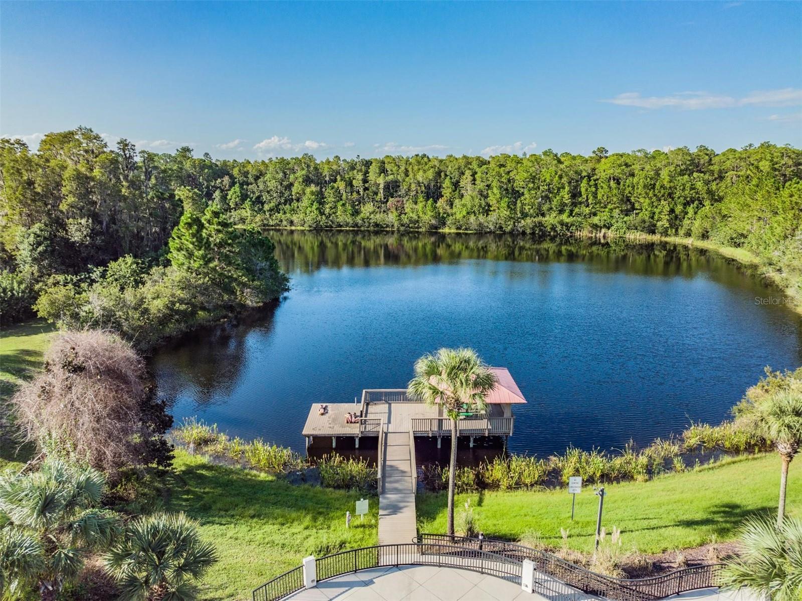 8721 CRYSTAL CREEK CT, LAND O LAKES, FL — photo 54