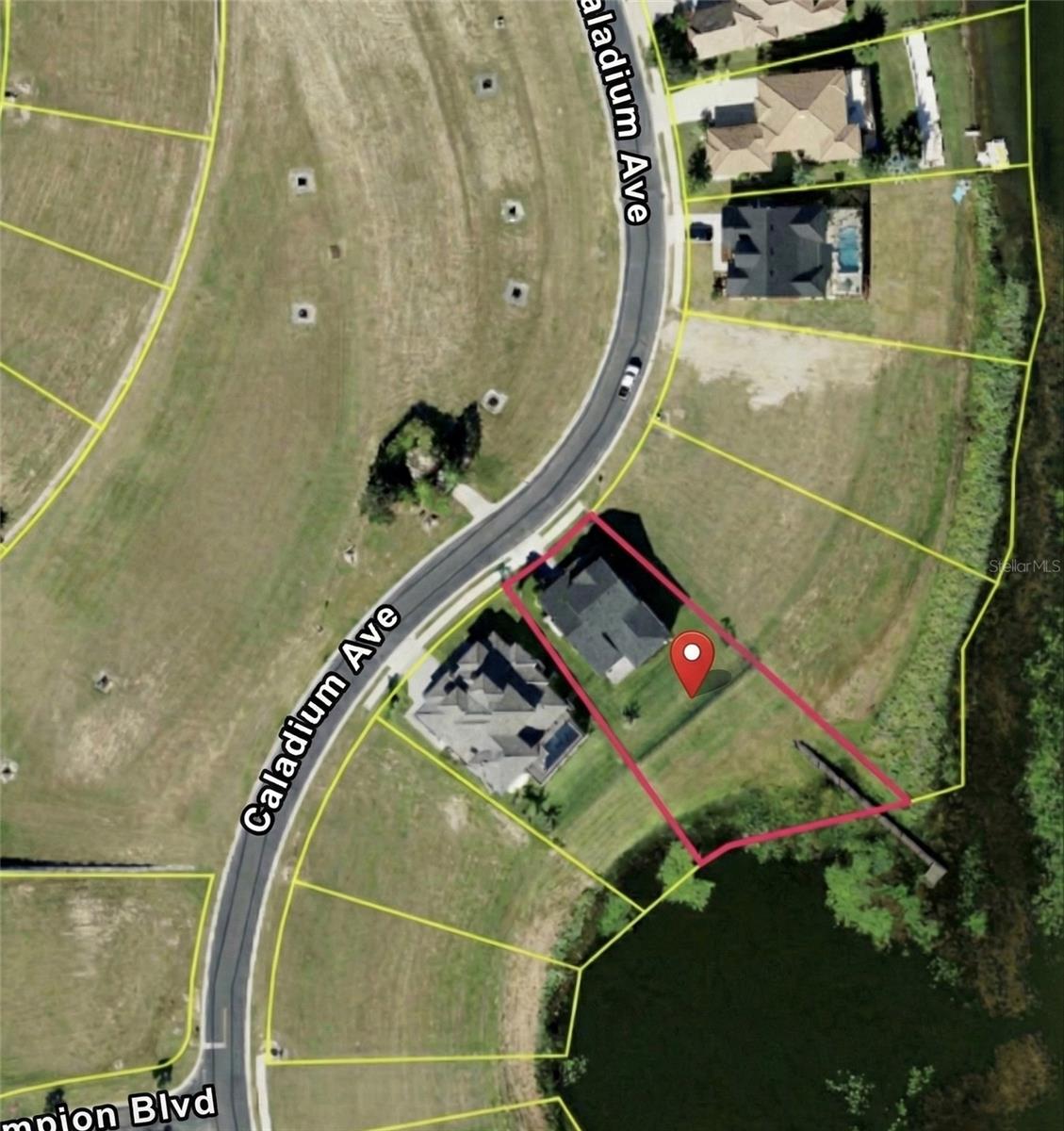 236 CALADIUM AVE, LAKE ALFRED, FL — photo 6