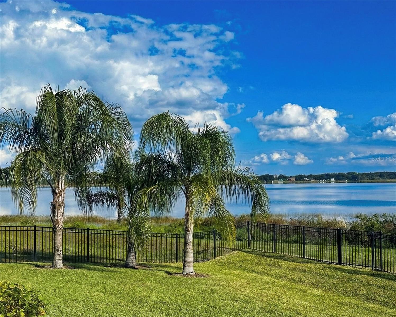 236 CALADIUM AVE, LAKE ALFRED, FL — photo 26
