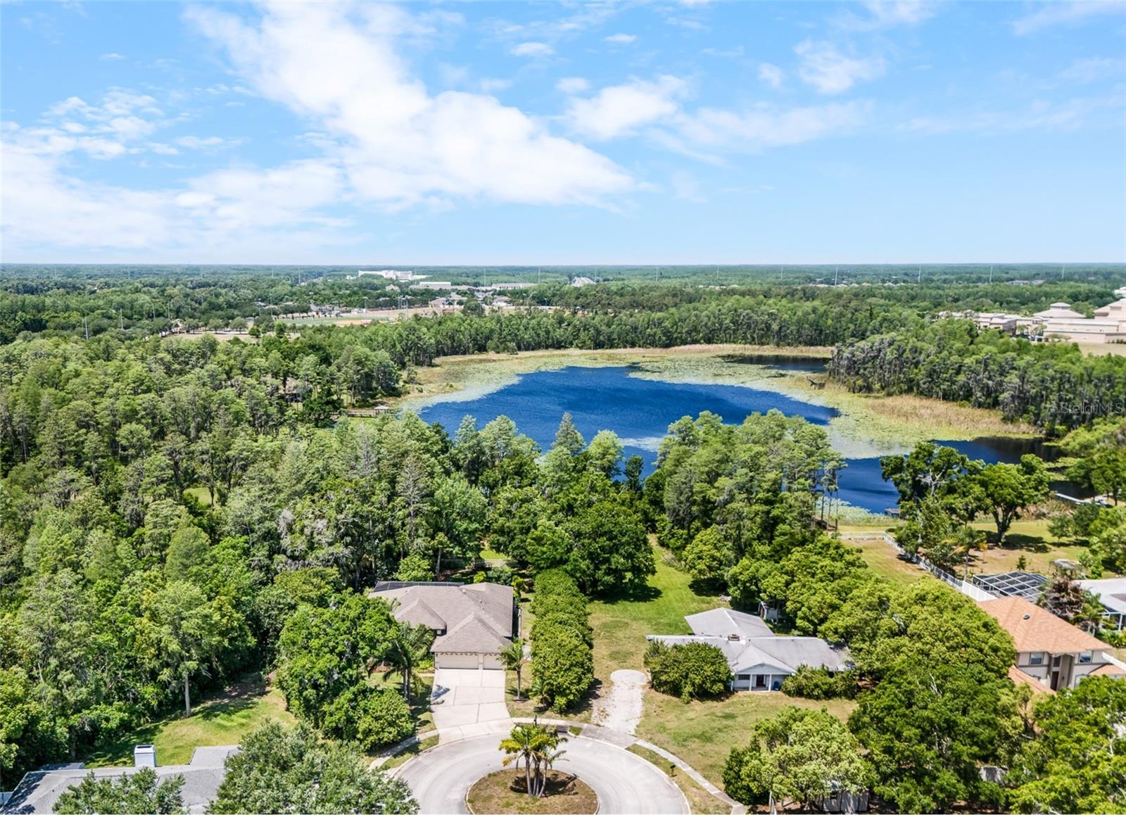 1012 KINGSBOROUGH GARDENS CT, LUTZ, FL — photo 40