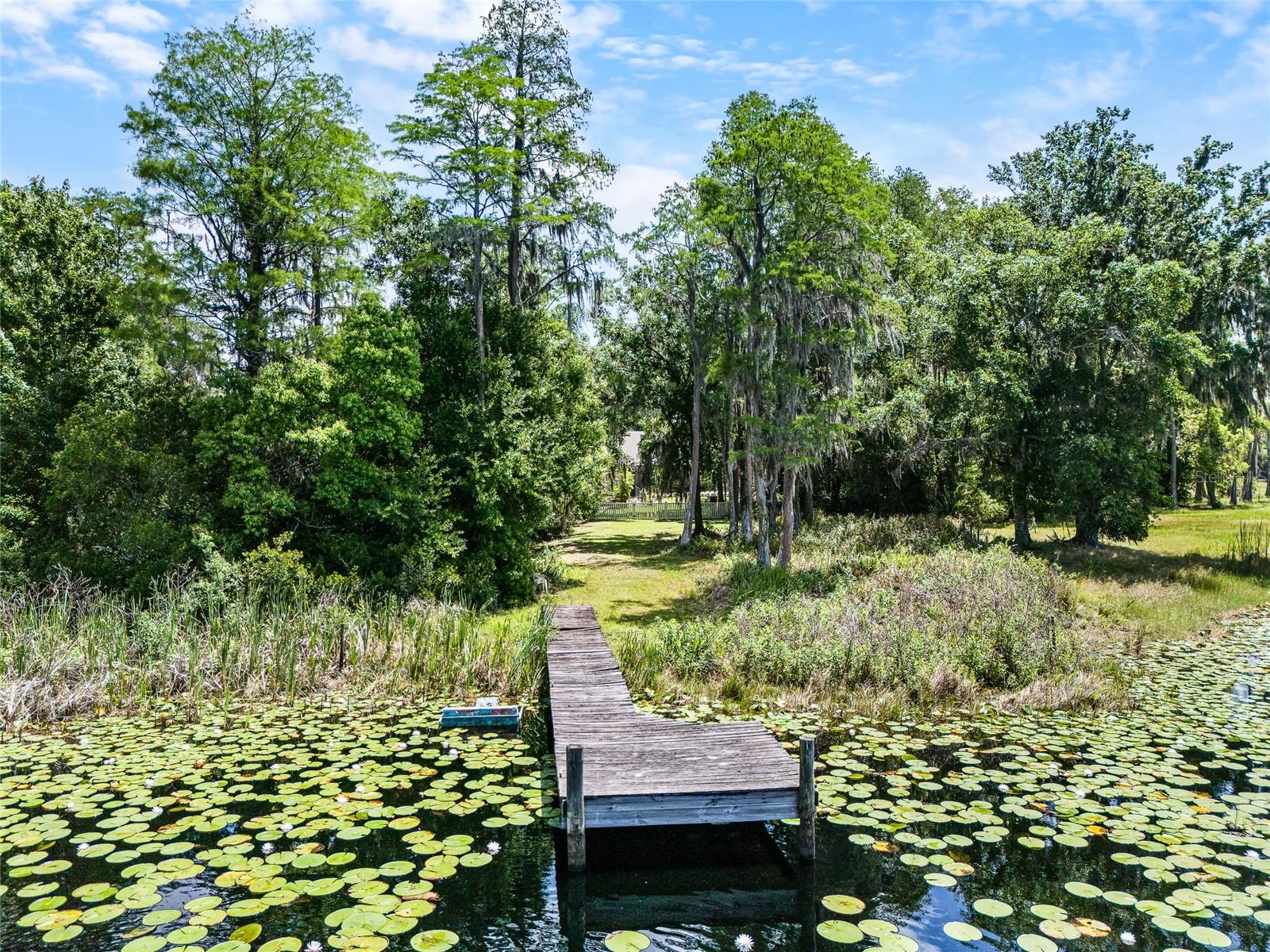 1012 KINGSBOROUGH GARDENS CT, LUTZ, FL — photo 41