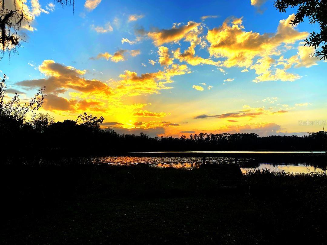 1012 KINGSBOROUGH GARDENS CT, LUTZ, FL — photo 43