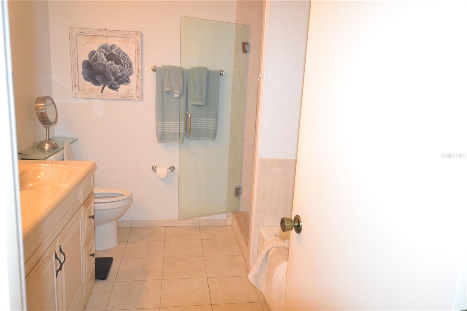 112 LINDSAY LN, OLDSMAR, FL — photo 48