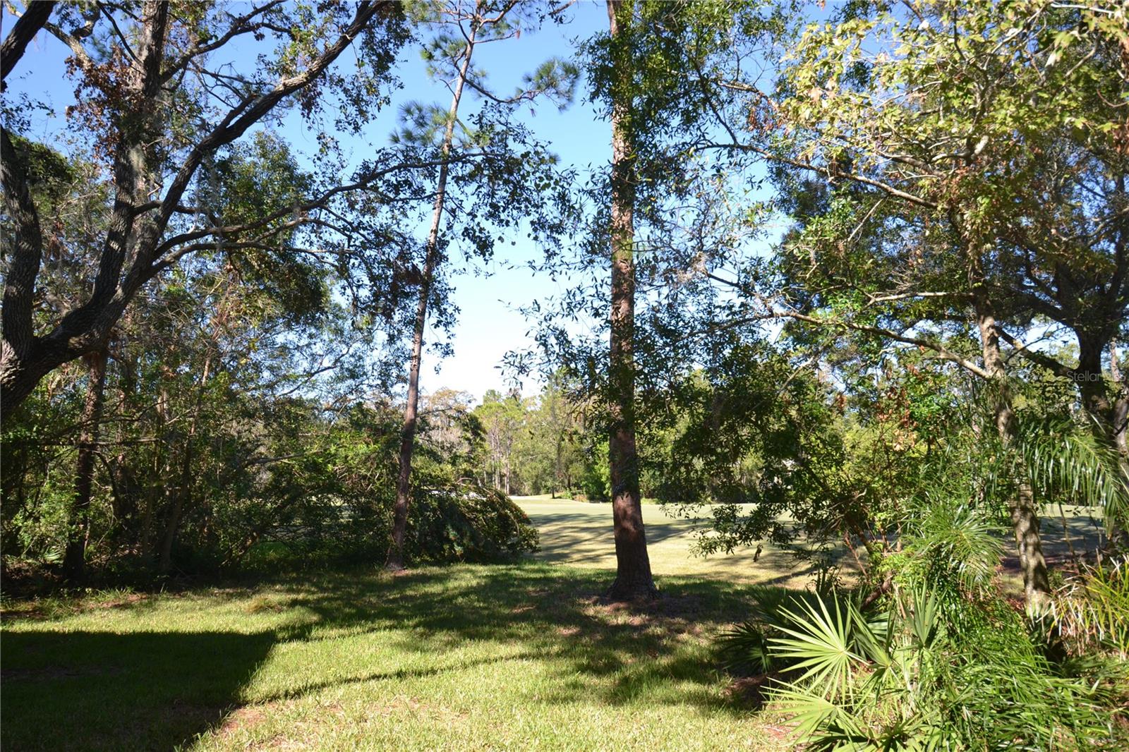 112 LINDSAY LN, OLDSMAR, FL — photo 62