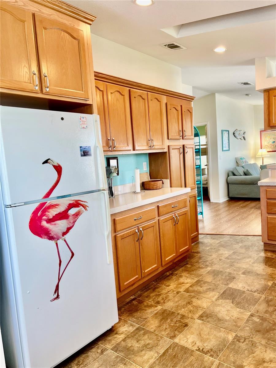 102 2ND AVE, VENICE, FL — photo 10