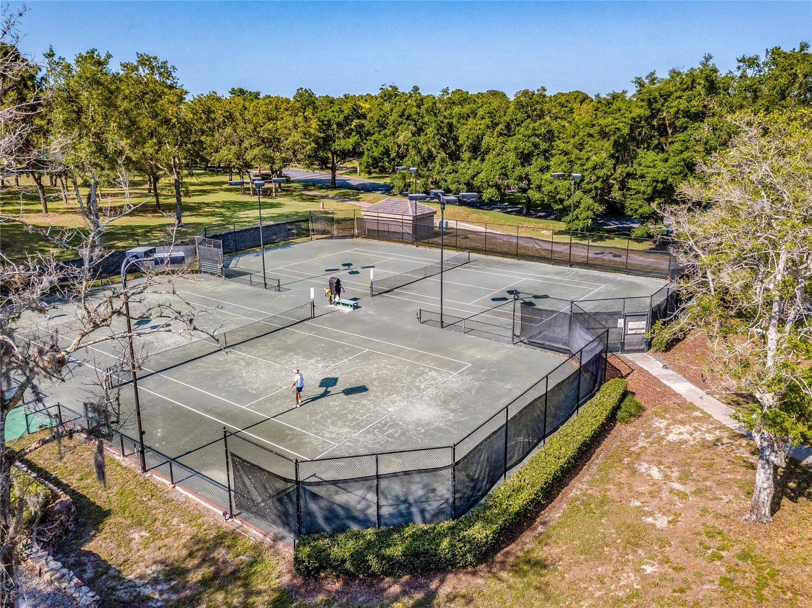 3099 N BARTON CREEK CIR, LECANTO, FL — photo 55