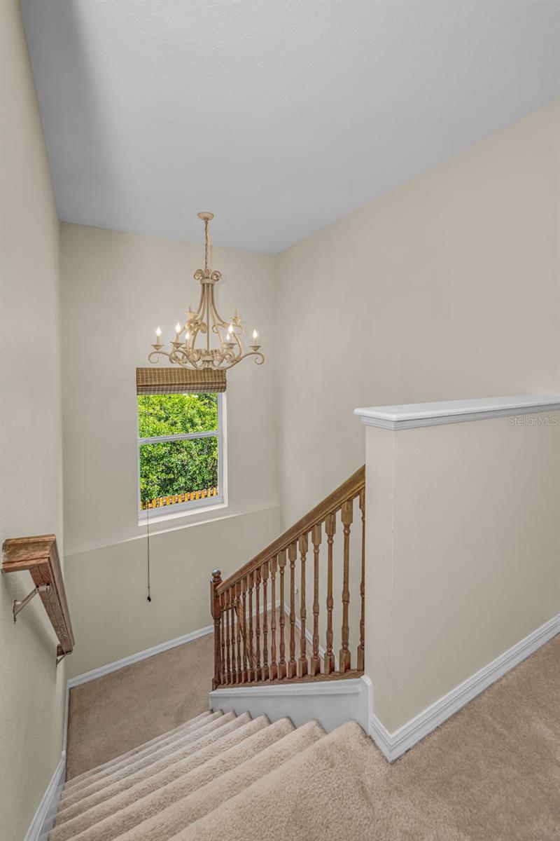 5820 TULIP FLOWER DR, RIVERVIEW, FL — photo 27