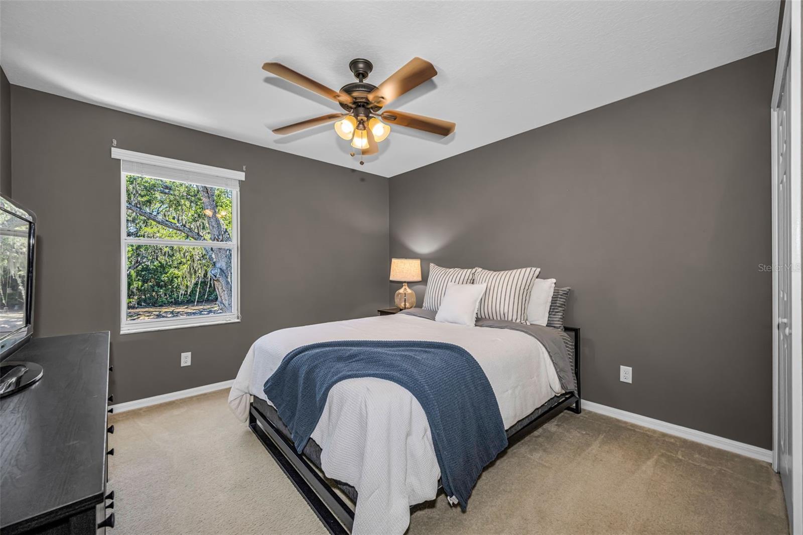 5820 TULIP FLOWER DR, RIVERVIEW, FL — photo 31
