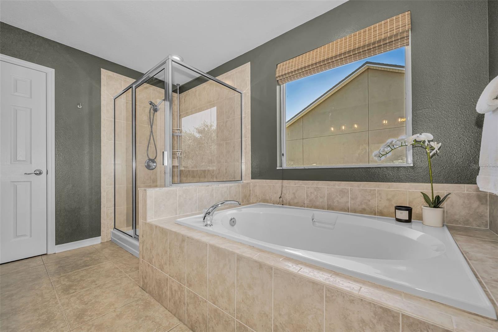 5820 TULIP FLOWER DR, RIVERVIEW, FL — photo 34