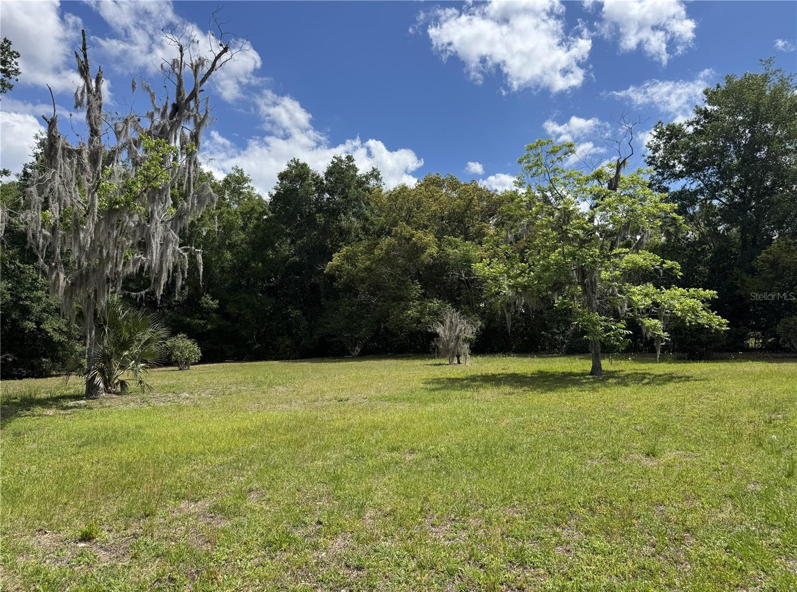 65 HOWARD ST, UMATILLA, FL — photo 8